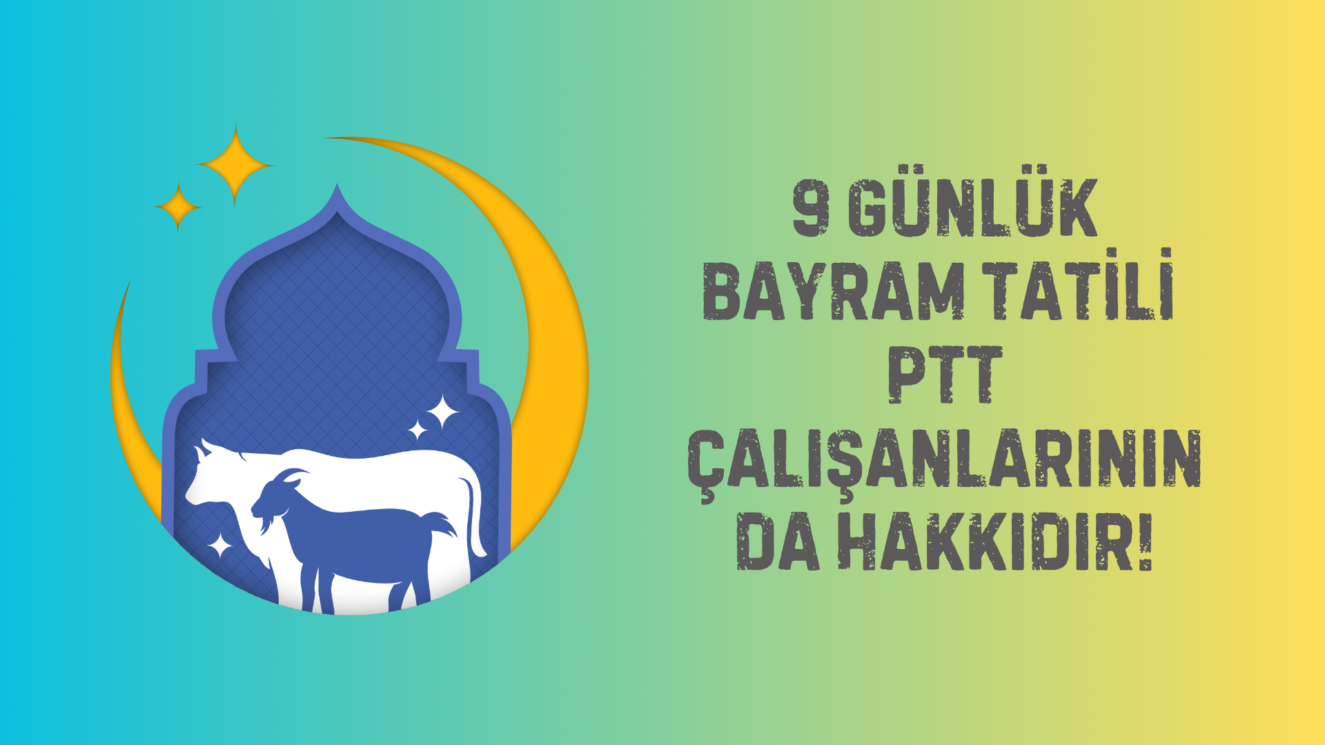 Anket Yazısı kopyası kopyası kopyası kopyası kopyası kopyası kopyası